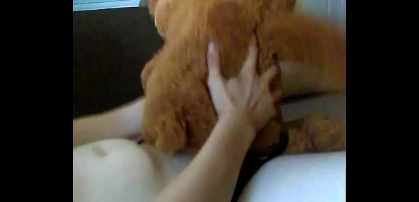  Sissy boy fucking her little teddy bear again